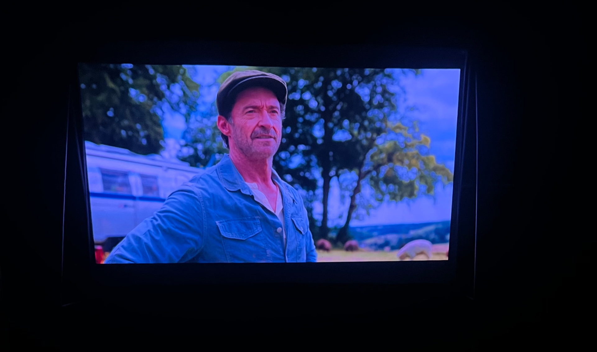 Backyard movie night, sky fully dark